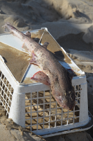 DSC 2885 1896457602 1