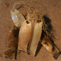 eikapsel hondshaai 1896457602 2