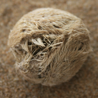 zeeklit3 1201036434 3