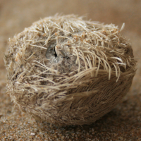 zeeklit4 1201036434 4