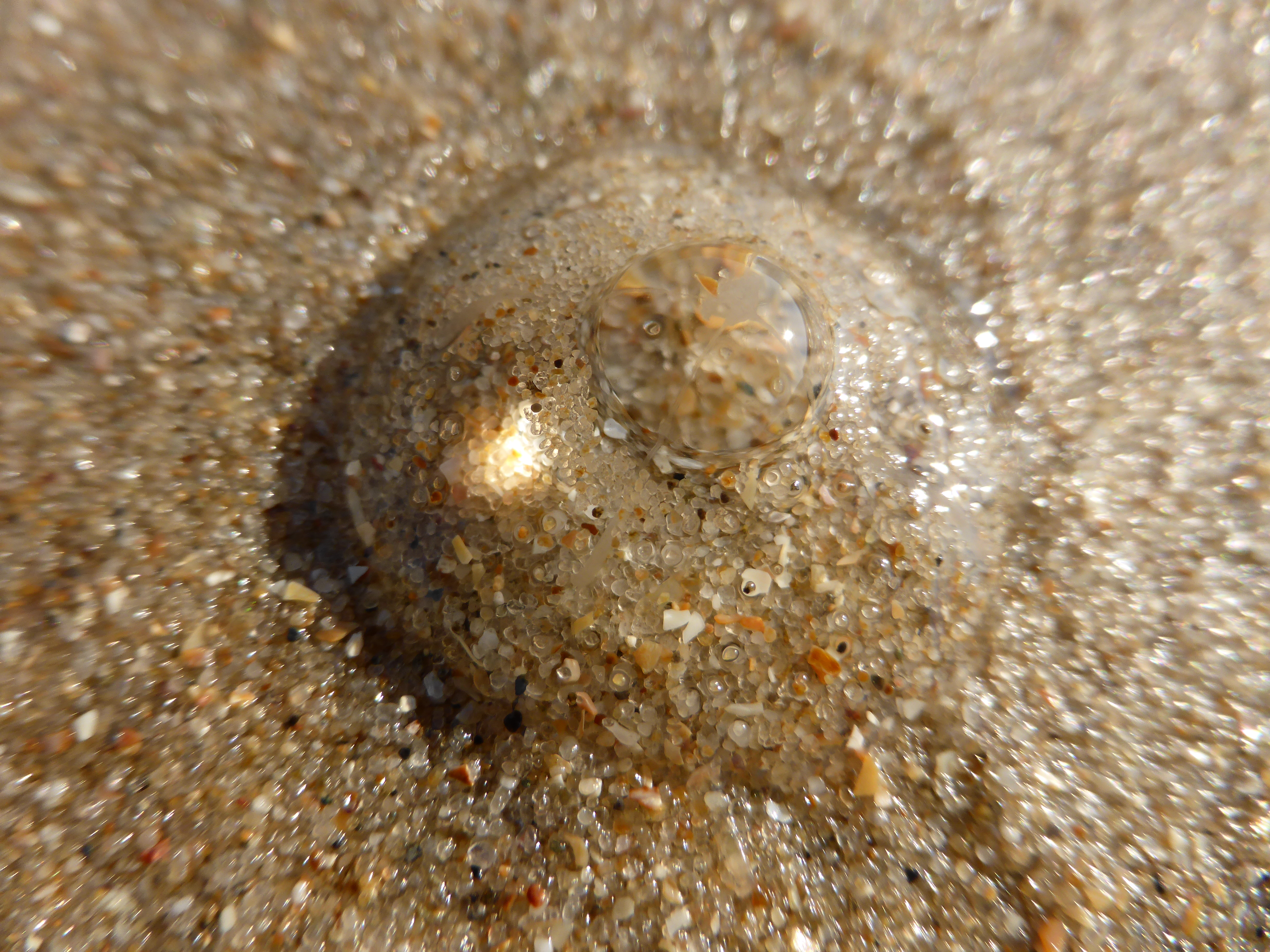 P1000019.JPG