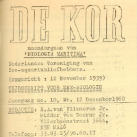 De Kor