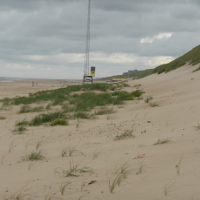 Duinontwikkeling
