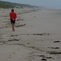 Strandwaarnemingen

