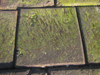 2065399914 2